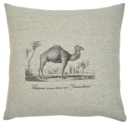 Safari: Camel