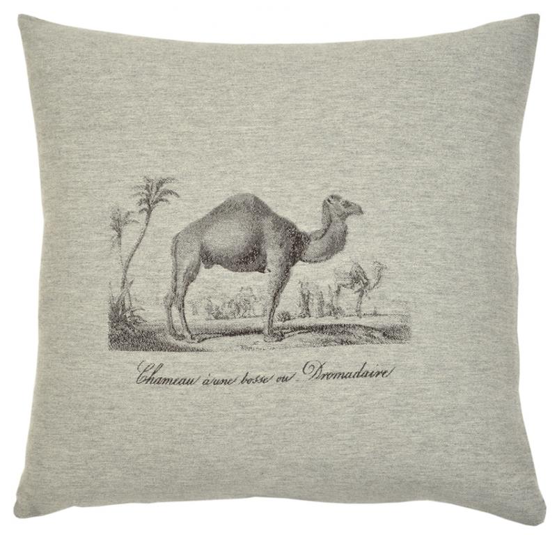 Safari: Camel