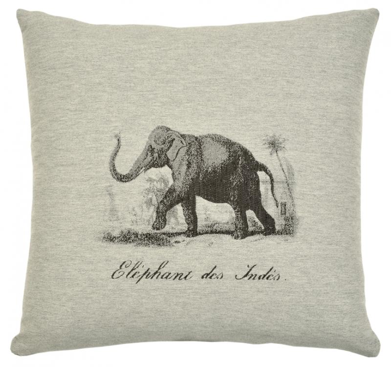 Safari: Elephant
