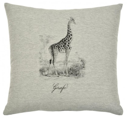 Safari: Giraffe