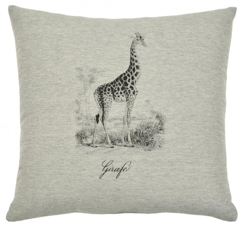 Safari: Giraffe