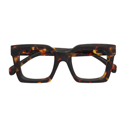 Asher Tortoise Shell