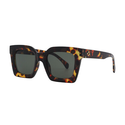 Asher Sun Tortoise Shell