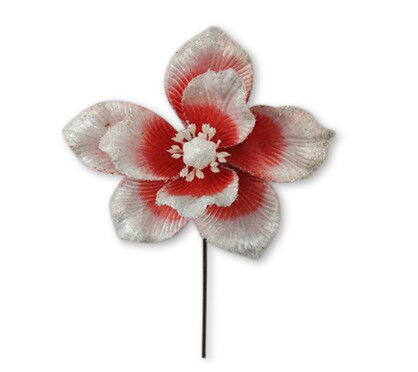 Magnolia White w Red 24cm