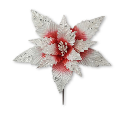 Poinsettia White w Red 36cm