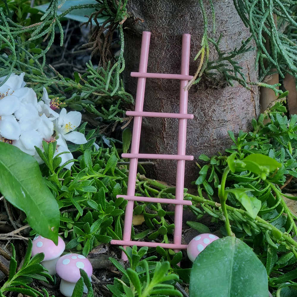 Metal Ladder - Pink