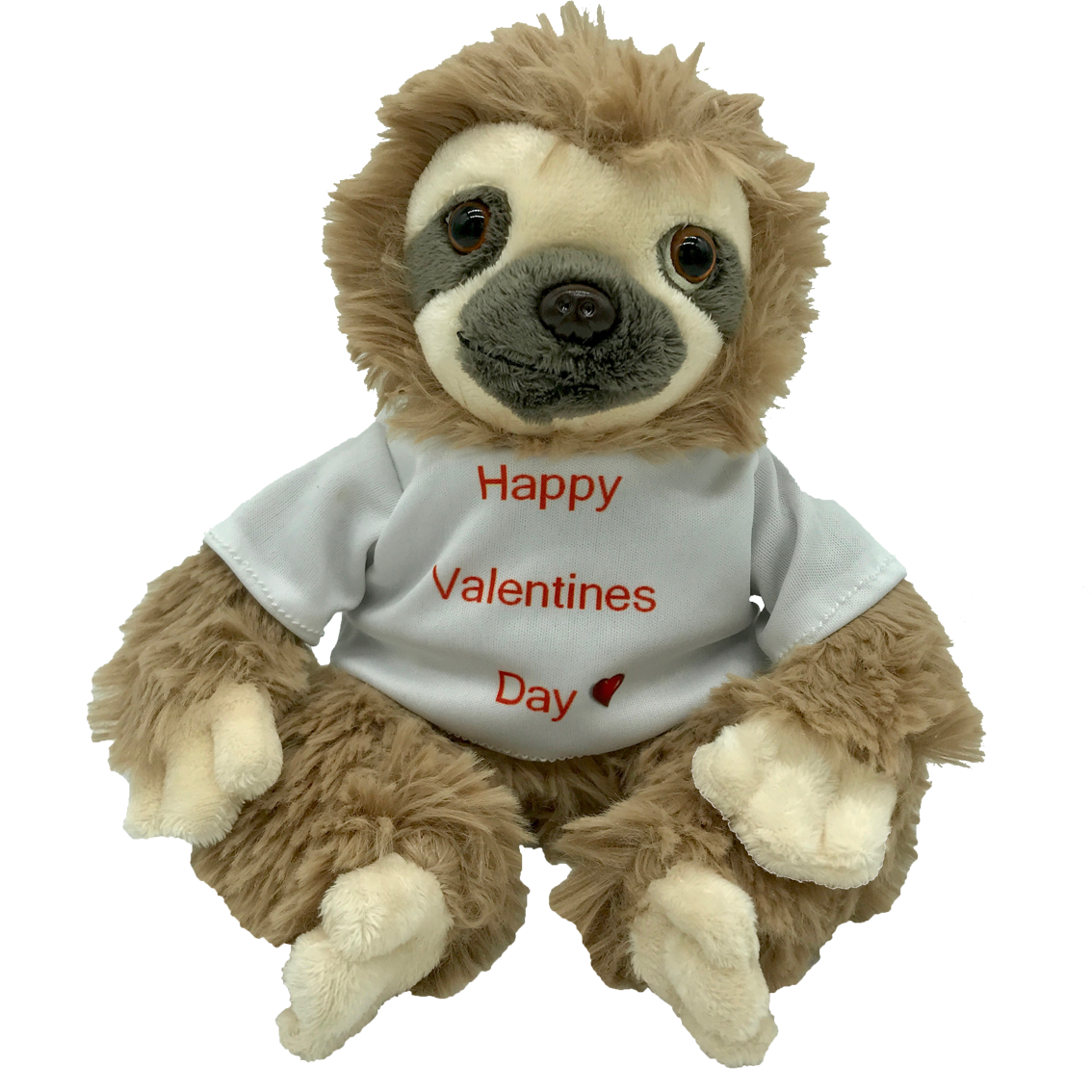 Curtis Sloth Tshirt - Valentines