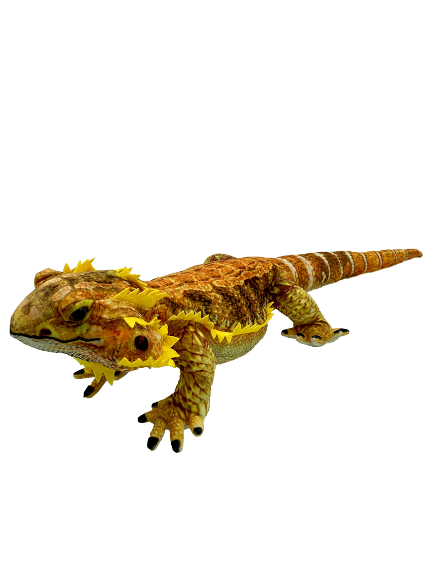 Wholesale Kambera Bearded Dragon Huggable Toys Fieldfolio