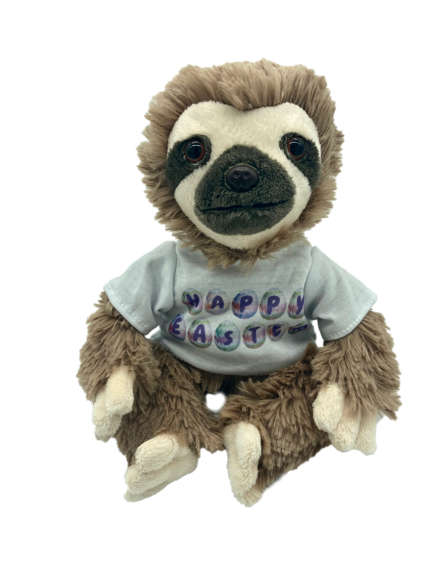 Curtis Sloth Tshirt - Easter