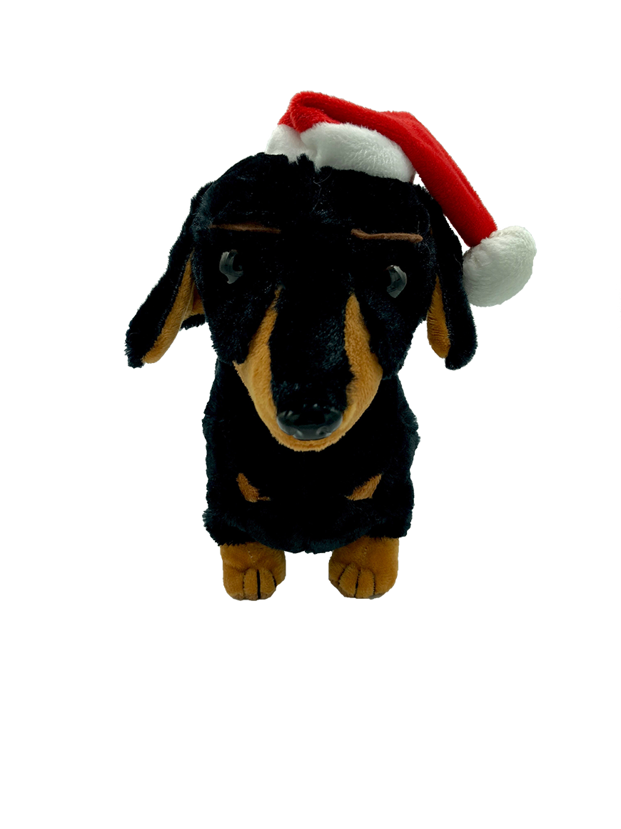 Davie Dachshund Xmas