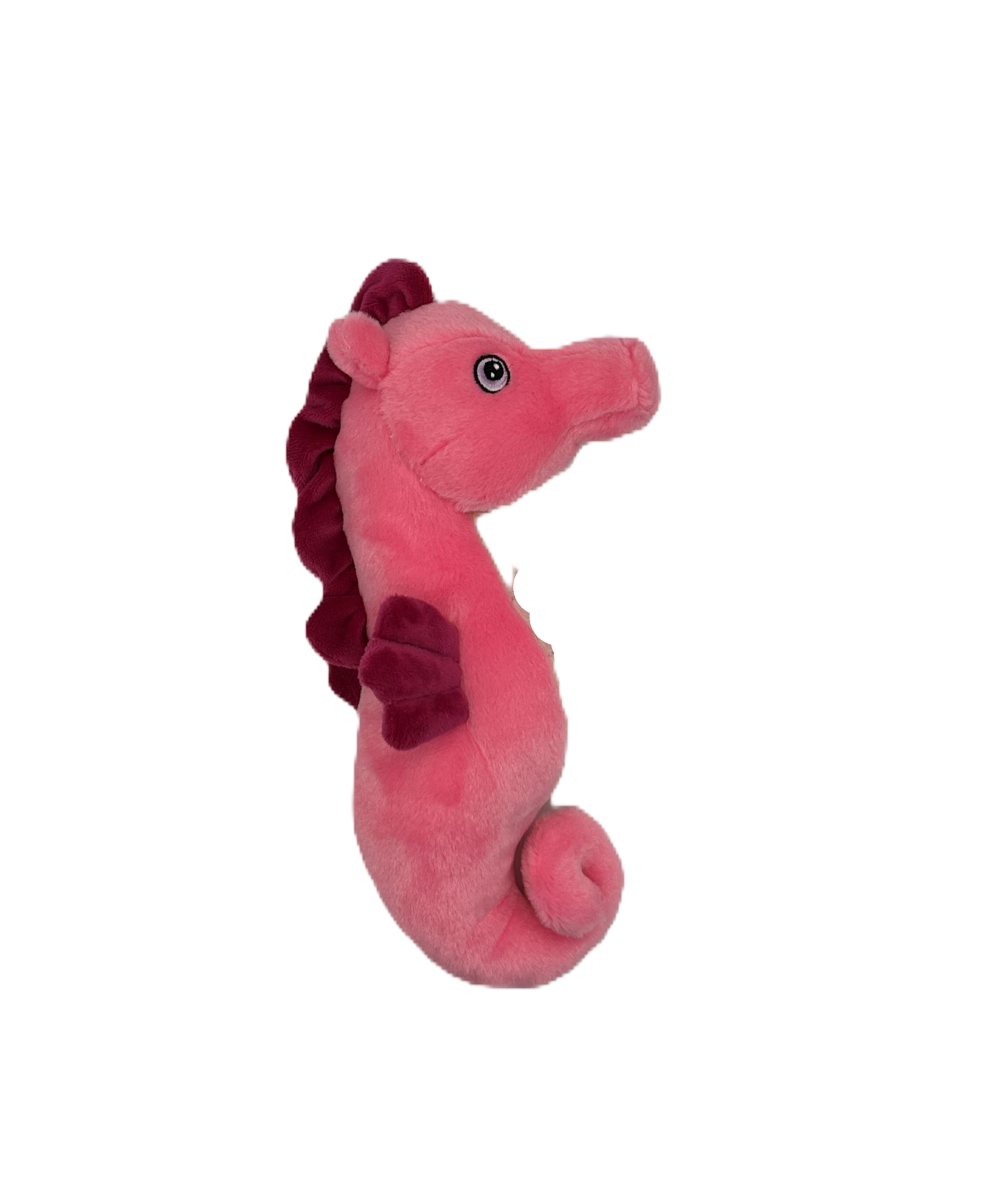 Dancer Seahorse