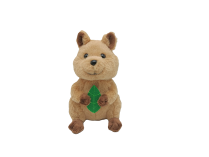 Djiripin Quokka