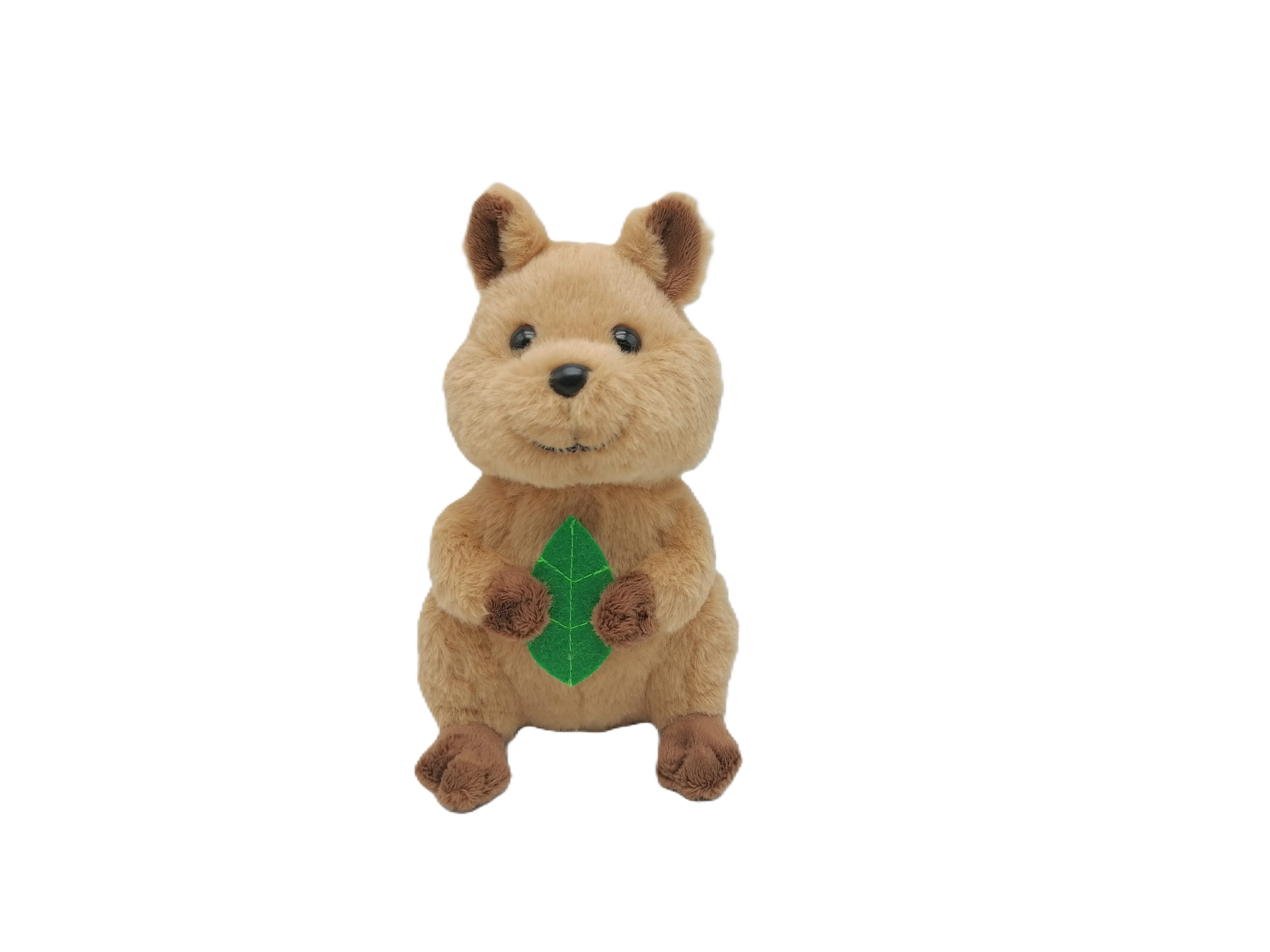 Djiripin Quokka