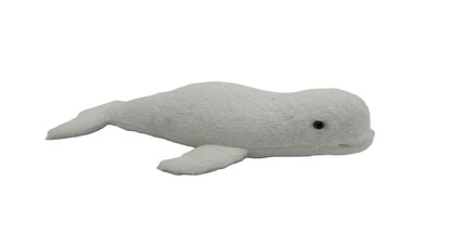 Icicle Beluga Whale