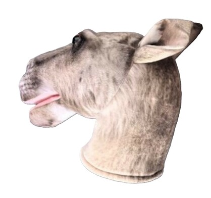 Aria Kangaroo