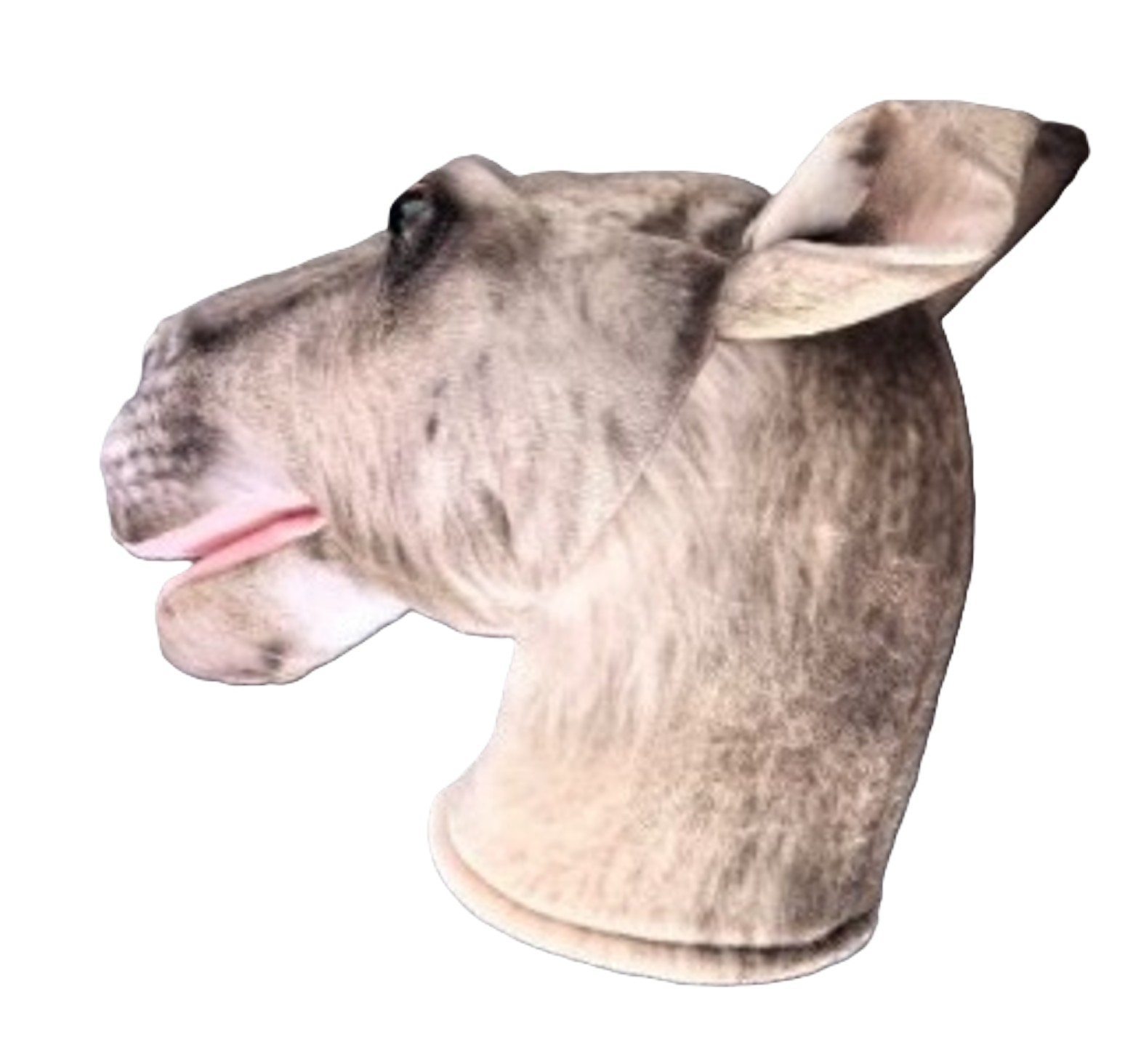 Aria Kangaroo
