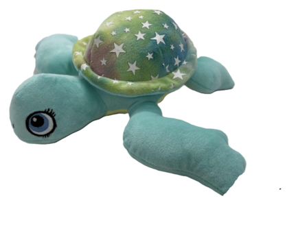 Flipper Turtle Blue