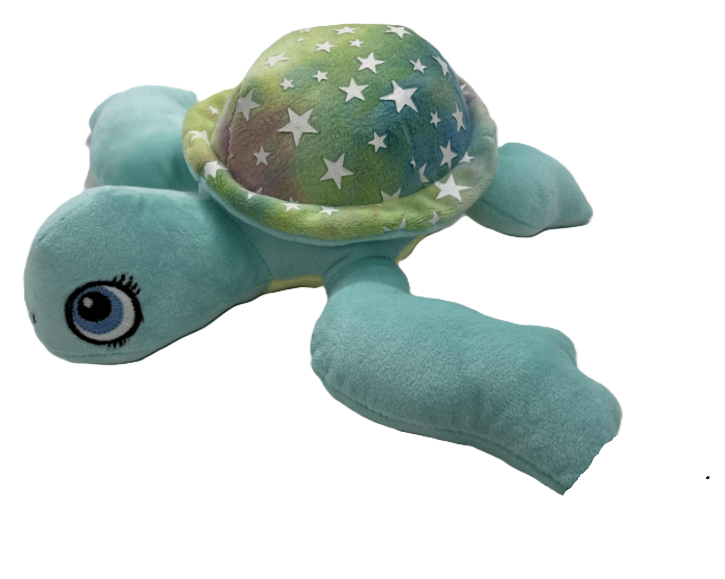 Flipper Turtle Blue