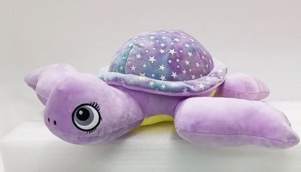 Flipper Turtle Purple