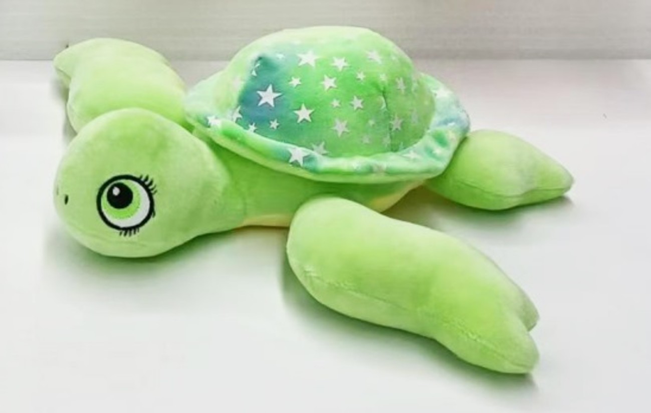 Flipper Turtle Green
