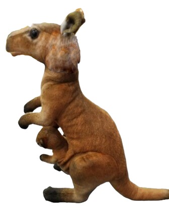 Rufus Kangaroo