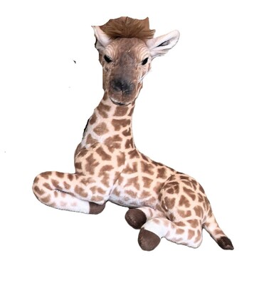Talliki Giraffe