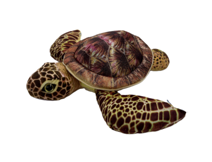 Truffles Turtle