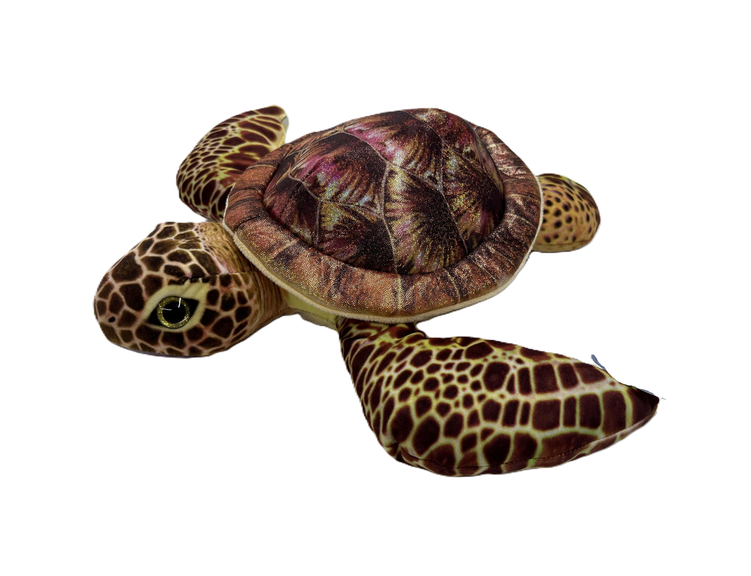 Truffles Turtle