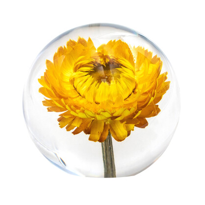 Resin Sphere - Handcrafted with Real Helichrysum 8x7.5cm