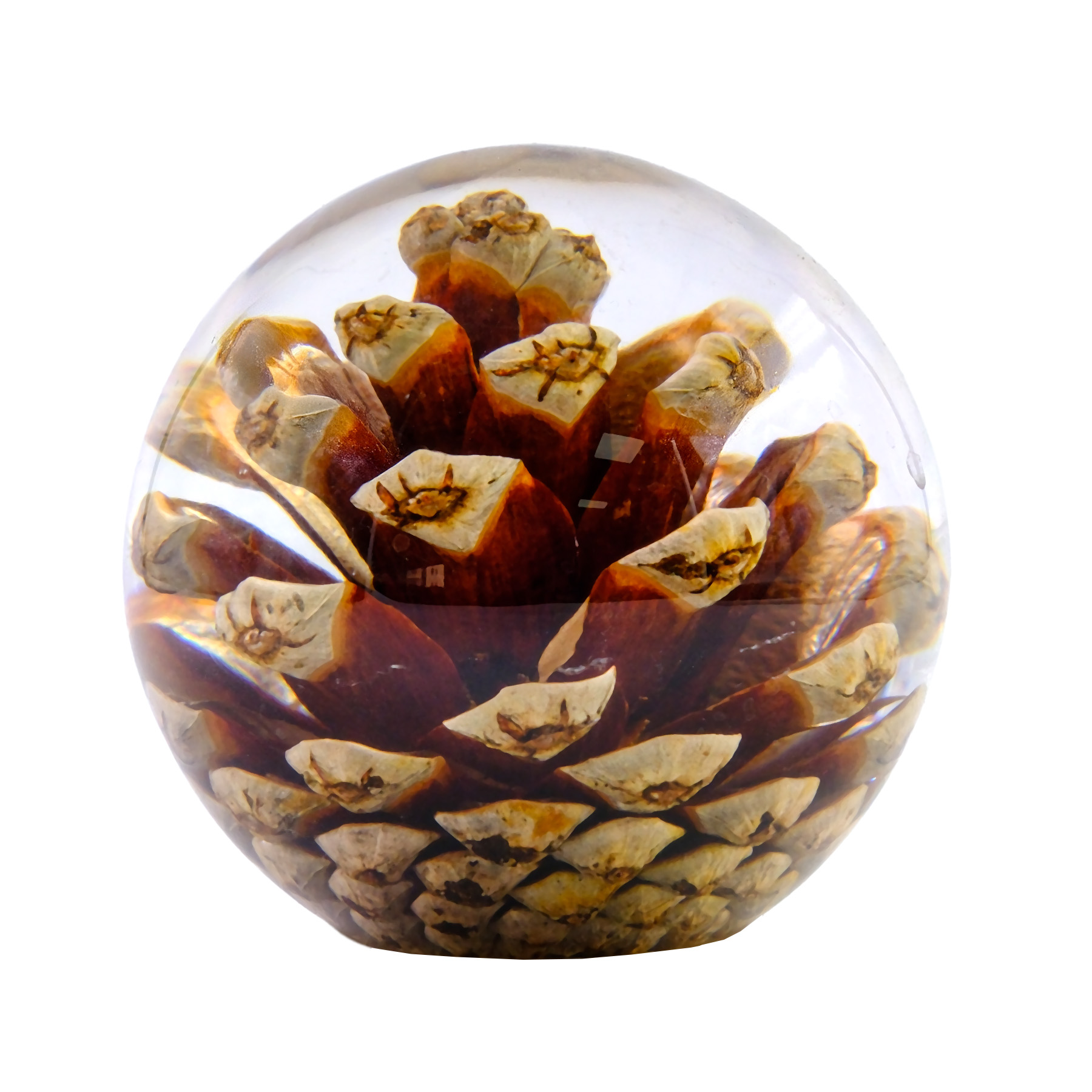 Resin Sphere - Handcrafted with Real Pinecone 8x7.5cm