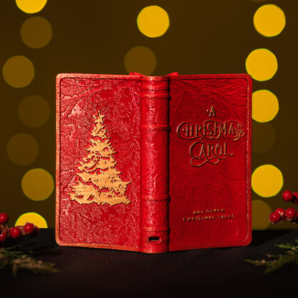 Snowing Xmas Book / Santa Sleigh