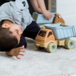 Dantoy Bio Dump Truck