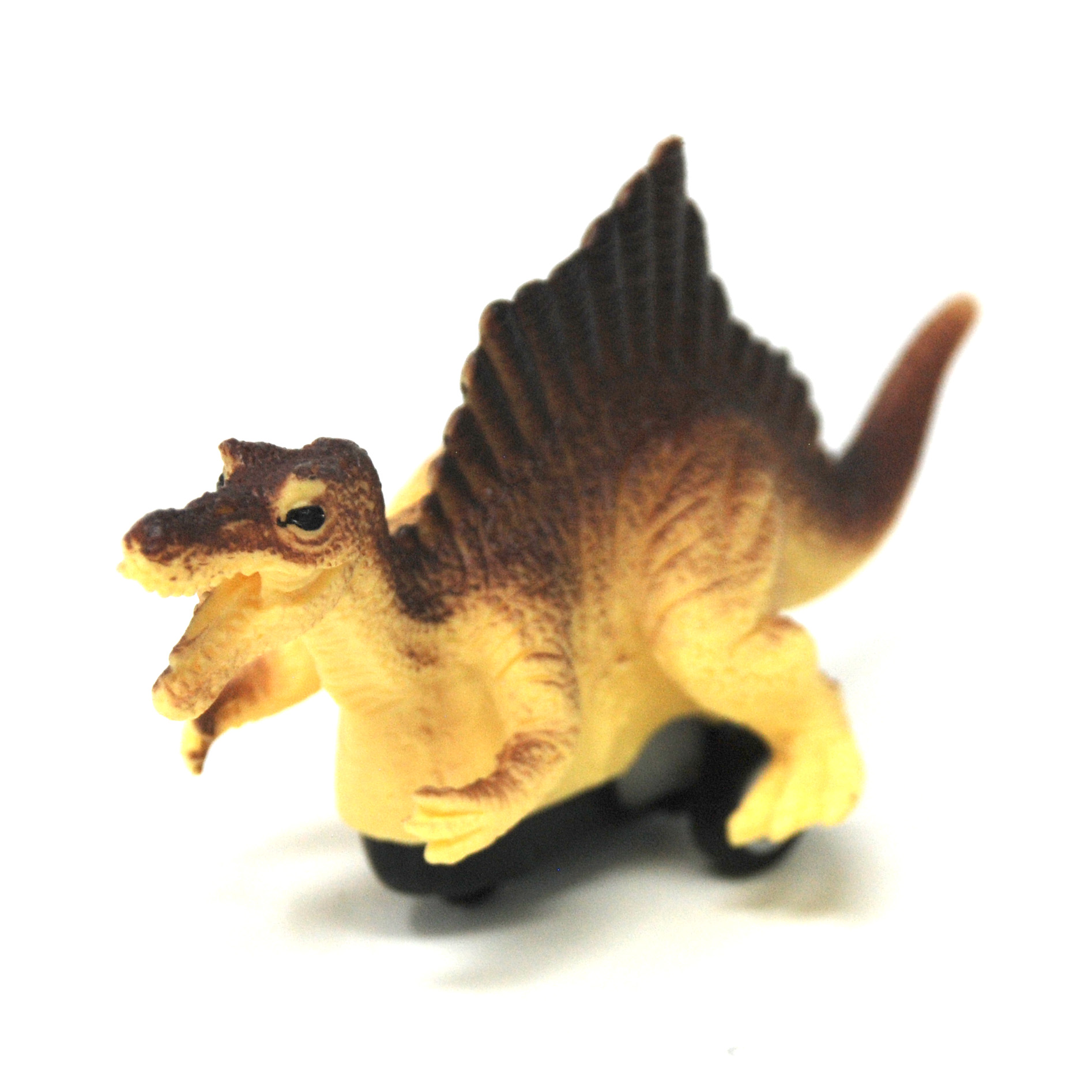 Pull Back Racing Dinosaurs