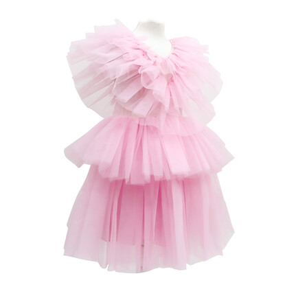 Claris Fashion Tulle Dress 5-6 Years