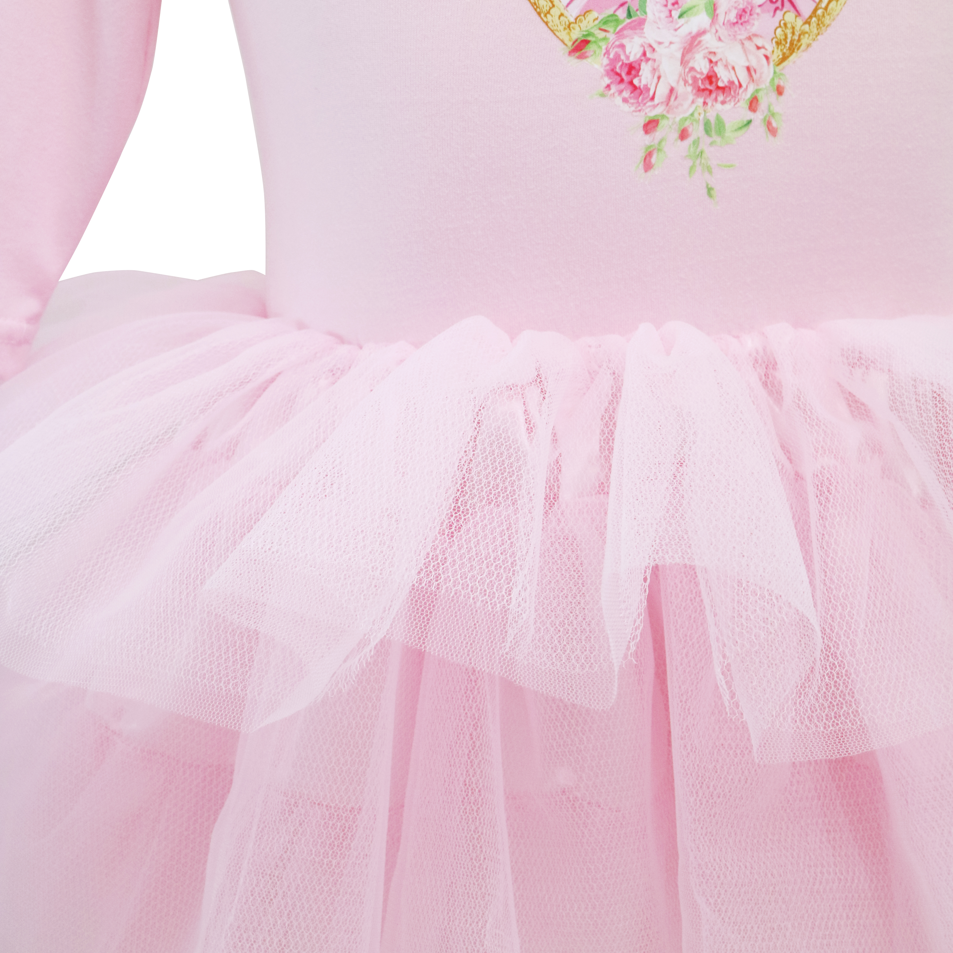 Claris Fashion Print Tulle Dress (Size 3-4)