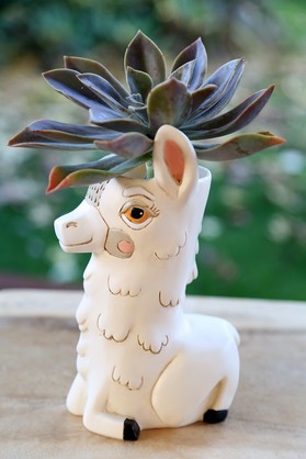 LLAMA Planter/Vase ($ 24.15 ea.), H 23.5cm