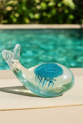 Aqua Dream Whale