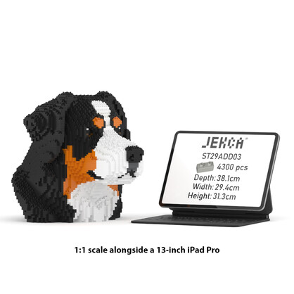Bernese Mountain Dog Bust 01S
