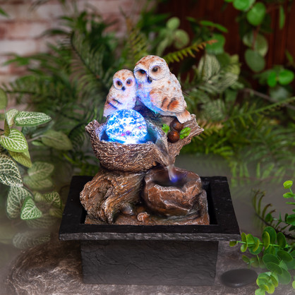 Adorable Owls