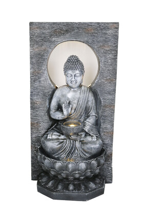 Radiant Buddha