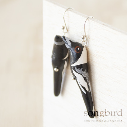 Australian Magpie Earrings