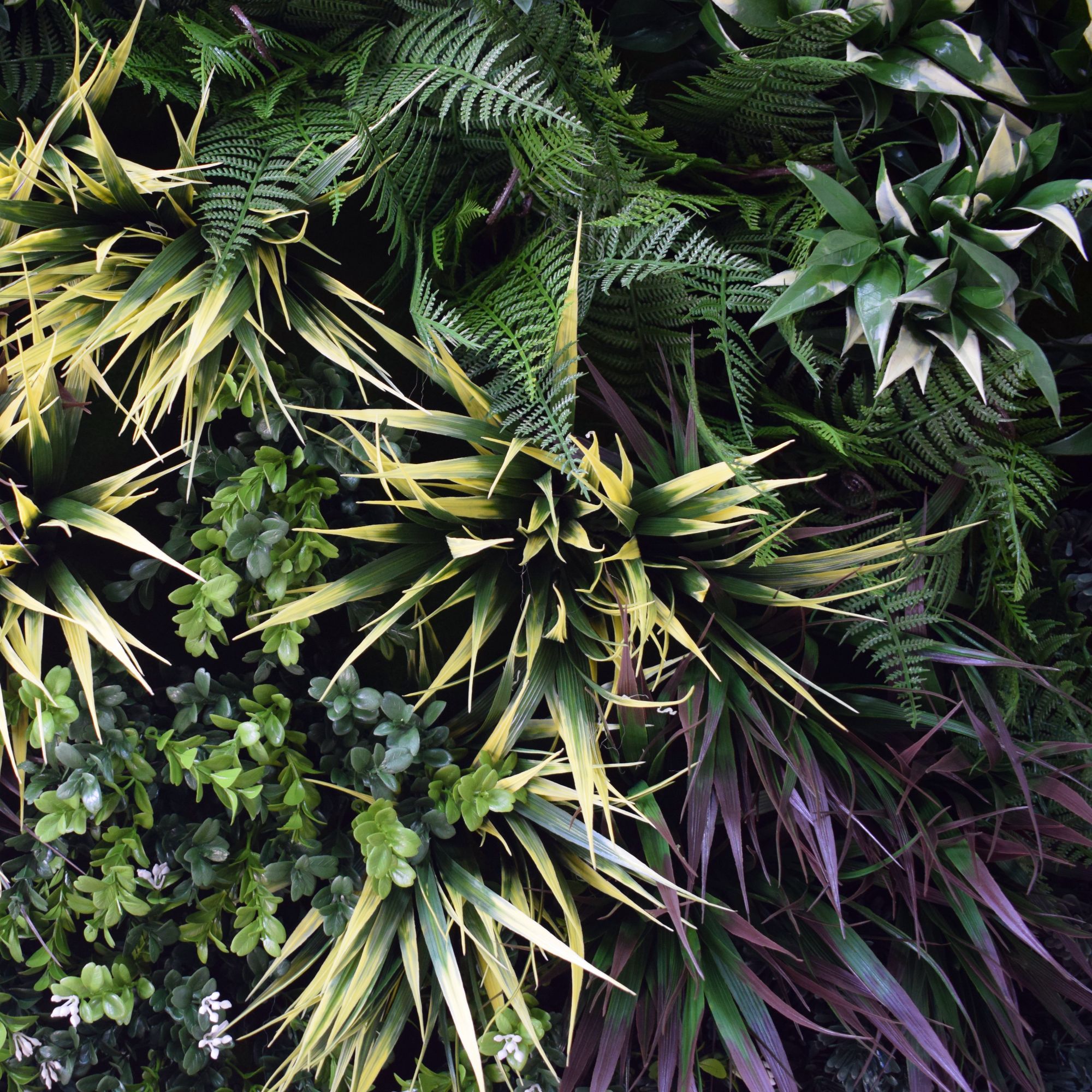UV Green Fields 80cm Green Wall Disc (Black)
