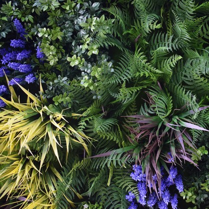 UV Lavender Fields Green Wall Disc (Black) 100cm
