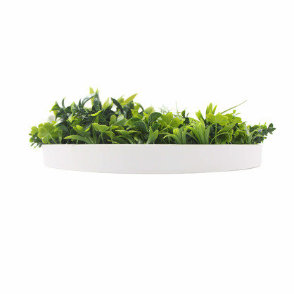 Flowering White Artificial Green Wall Disc UV Resistant 50cm (White Frame)