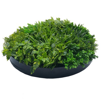 Artificial Green Wall Disc Art 100cm Dark Aloe Vera (Onyx Black)