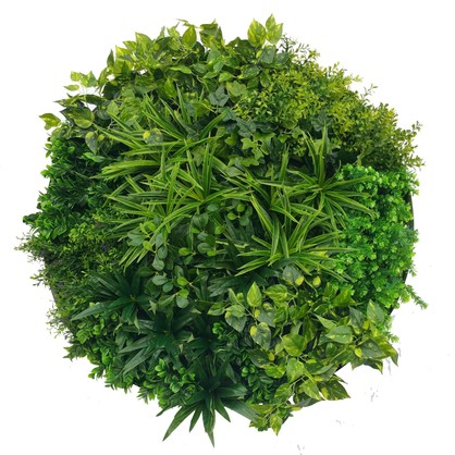 Artificial Green Wall Disc Art 100cm Dark Aloe Vera (Fresh White)