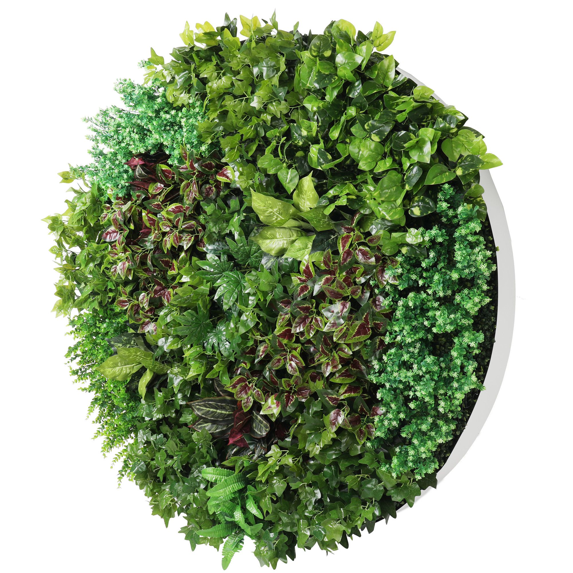 Artificial Green Wall Disk Art 150cm Dense Green Sensation (Fresh White)