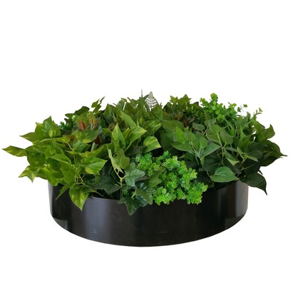 Artificial Green Wall Disc Art 60cm Mixed Fern & Ivy (Onyx Black)