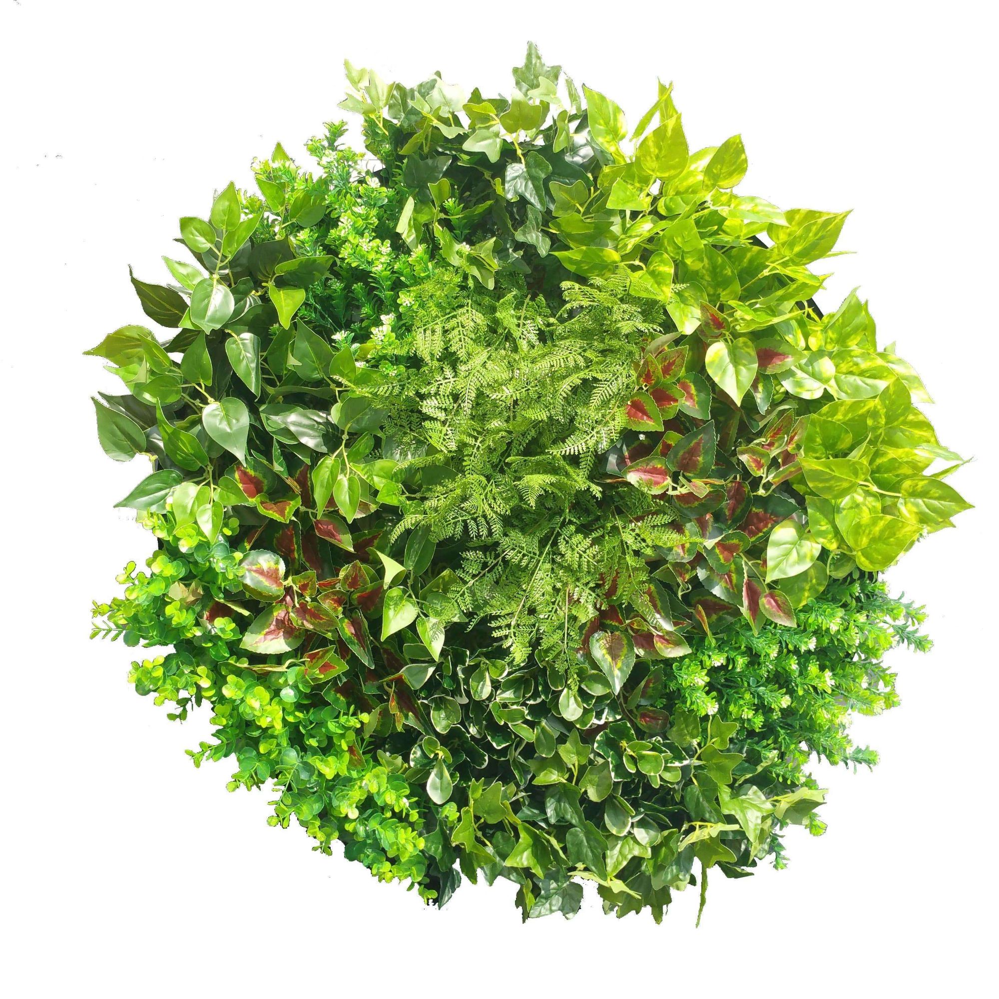 Artificial Green Wall Disc Art 80cm Mixed Fern (Fresh White)