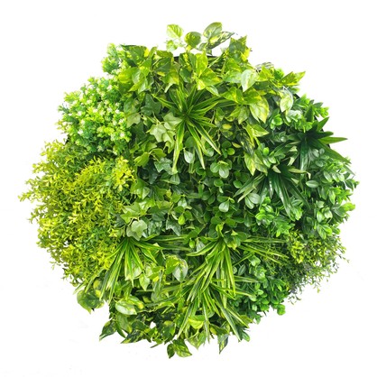 Artificial Green Wall Disc Art 80cm Mixed Aloe Vera (Onyx Black)